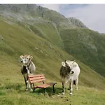 With 2 In Gasteig In Tyrol